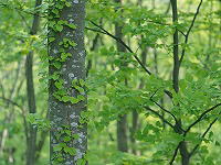 ���j�C���[�W